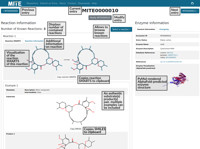 MITE entry overview